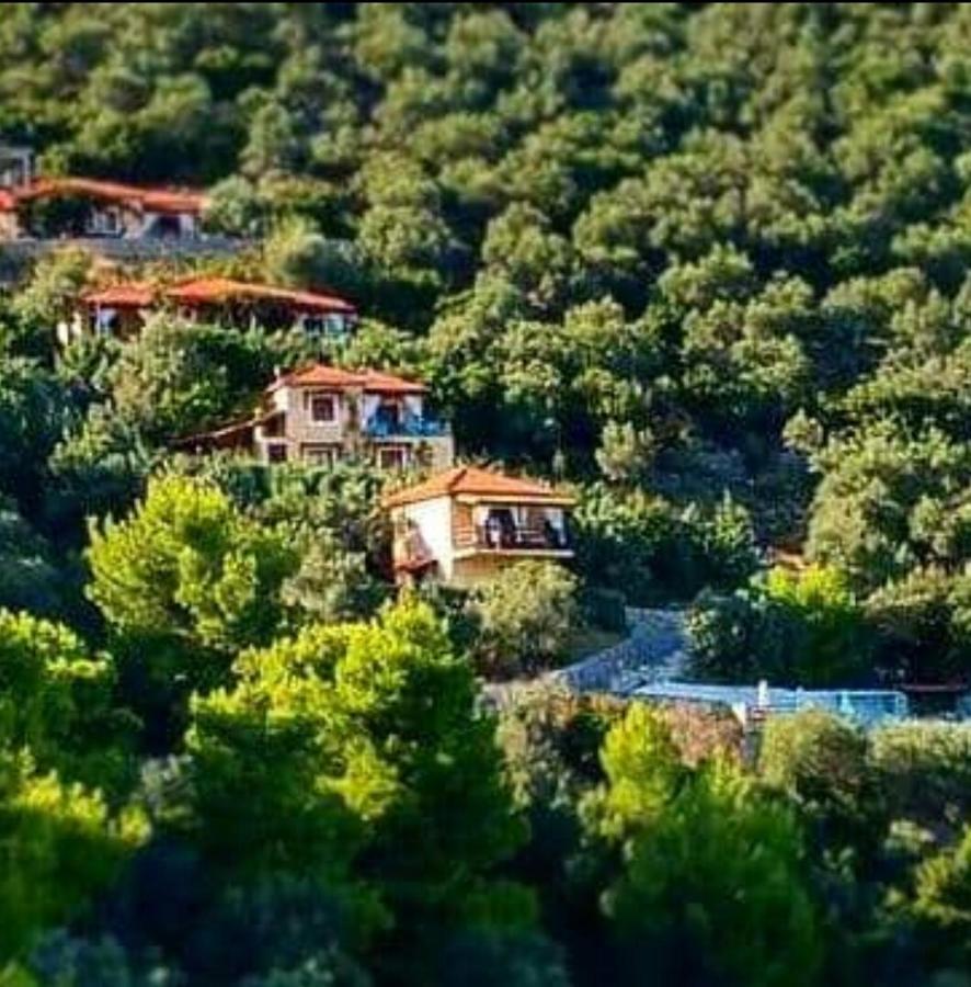 Skiathos Garden Cottages 外观 照片
